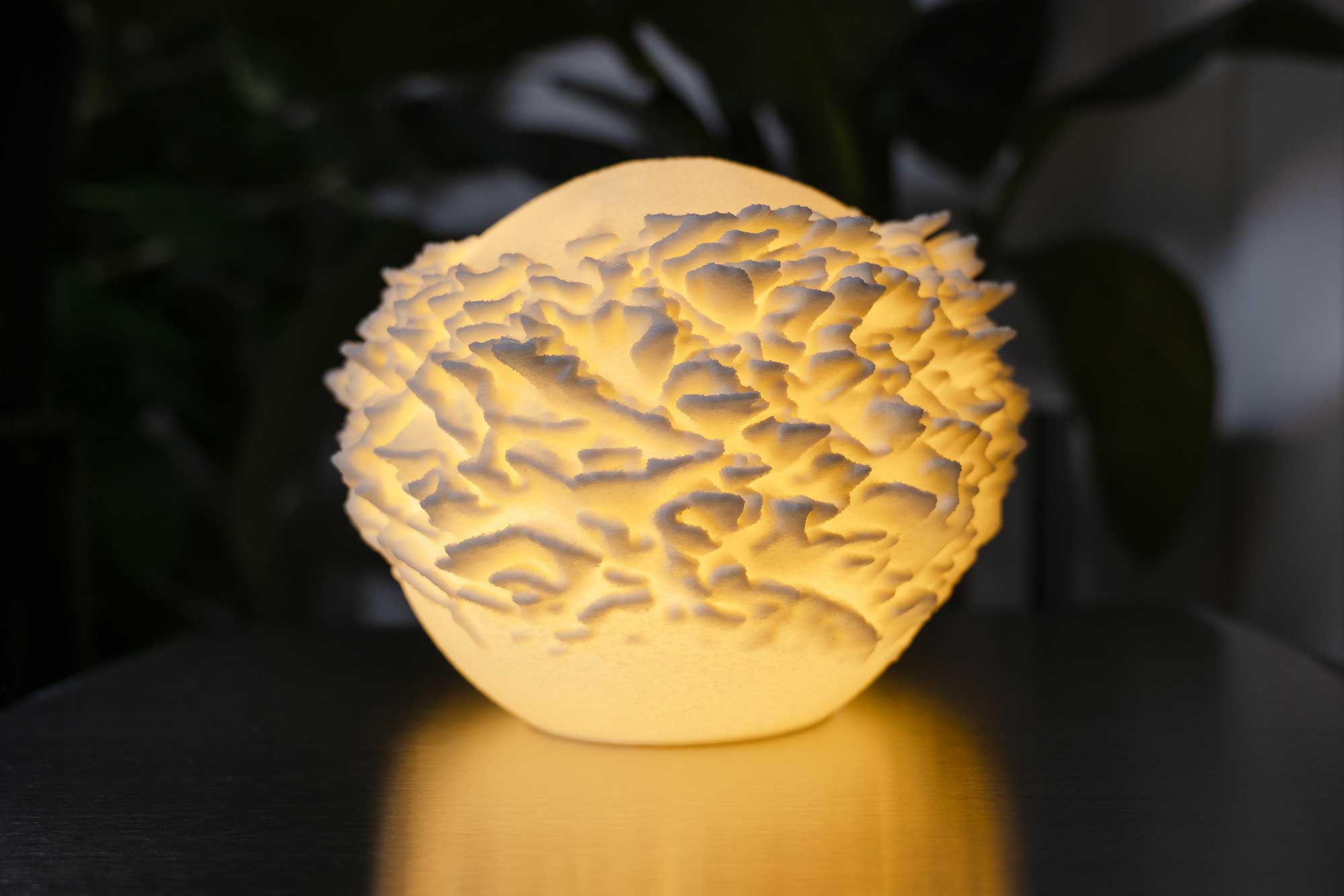 Coral Crown Mini