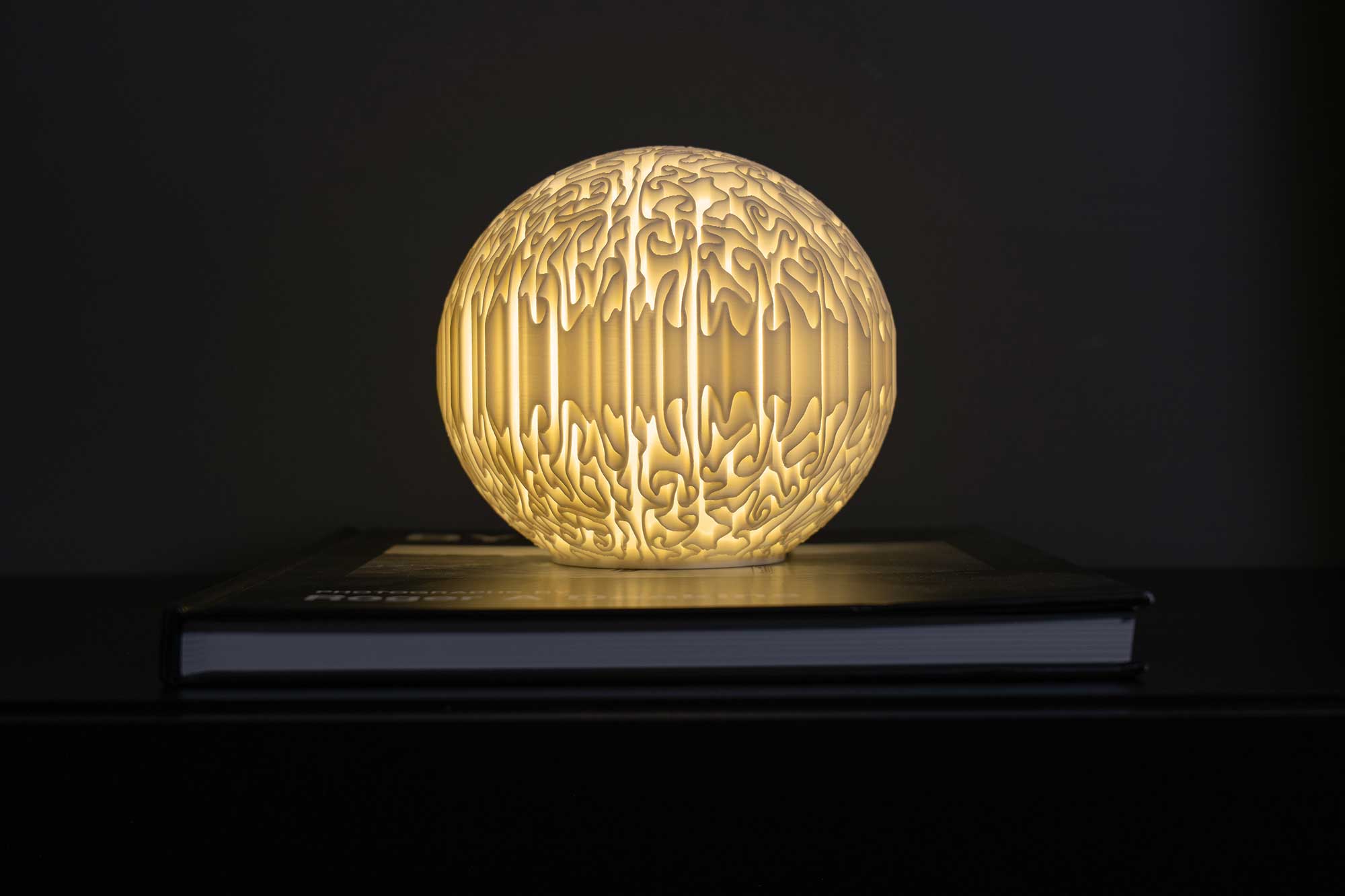 Biomorphic Sculpted - Mini Lamp
